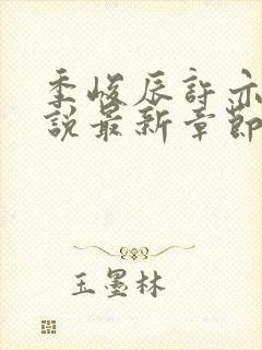 季峻辰许亦雪小说最新章节更新