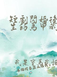 短剧闪婚后傅先生的马甲藏不住