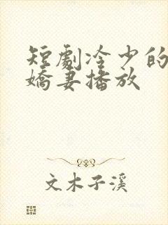 短剧冷少的替嫁娇妻播放