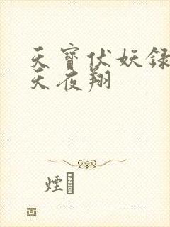 天宝伏妖录 非天夜翔