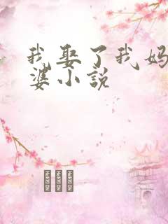 我娶了我妈当老婆小说