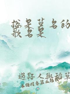 总是莫名的难过歌名是