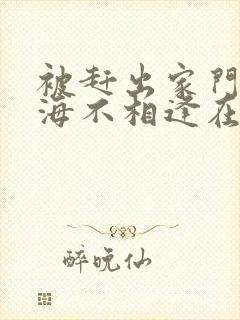 被赶出家门后山海不相逢在线