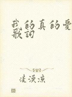 我的真的爱上你歌词