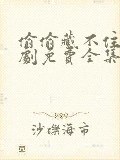 偷偷藏不住电视剧免费全集完整版