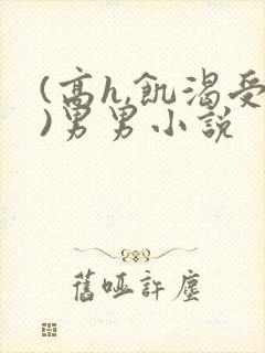 (高h,饥渴受)男男小说