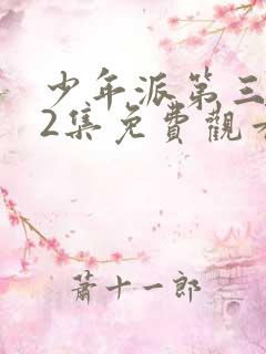 少年派第三部52集免费观看完整版