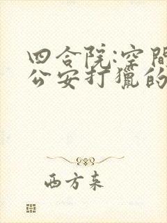 四合院:空间当公安打猎的小说