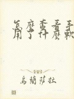 怎么查看手机使用了什么软件