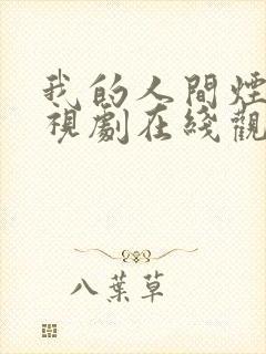 我的人间烟火电视剧在线观看免费版