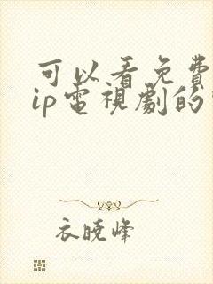 可以看免费的vip电视剧的软件