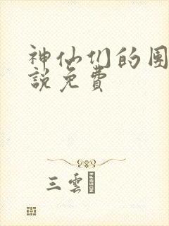 神仙们的团宠小说免费