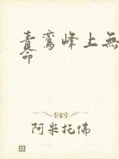 青鸾峰上无敌天命