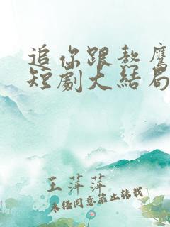 追你跟熬鹰似的短剧大结局