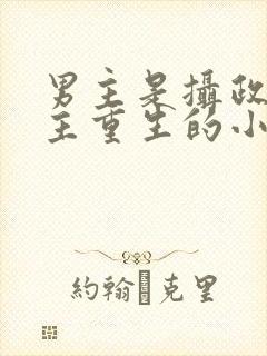 男主是摄政王女主重生的小说