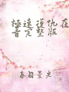 极速复仇在线观看完整版