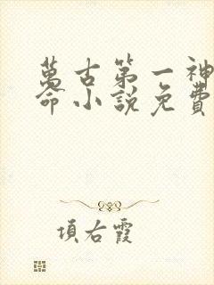 万古第一神李天命小说免费