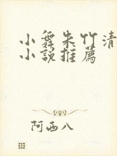 小舞朱竹清同人小说推荐