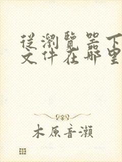 从浏览器下载的文件在哪里