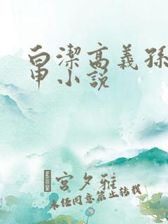 白洁高义孙倩王申小说