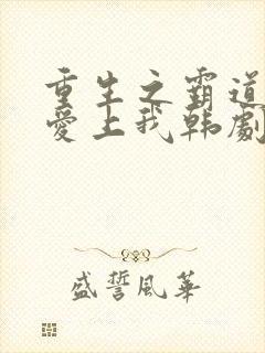 重生之霸道总裁爱上我韩剧在线观看