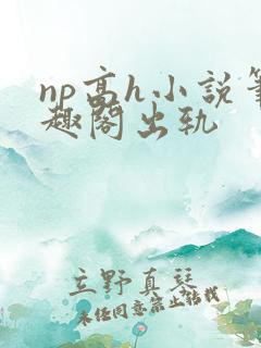 np高h小说笔趣阁出轨