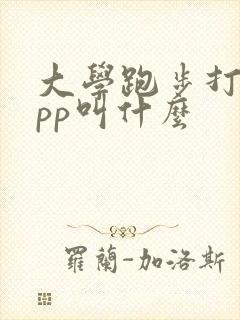 大学跑步打卡app叫什么