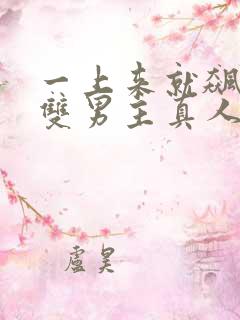 一上来就飙车的双男主真人版