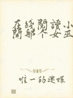 在线阅读小说放开那个女巫