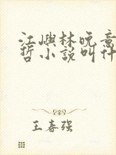 江屿林晚意沈修哲小说叫什么名字