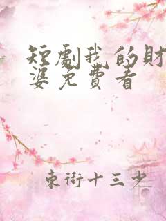 短剧我的财阀老婆免费看