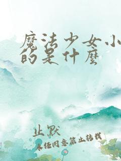 魔法少女小圆讲的是什么