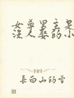 女尊男主是将军没人娶的小说