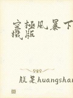 究极风暴下载手机版