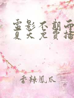 电影不期而遇的夏天免费播放