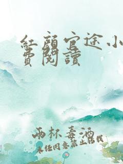 红颜官途小说免费阅读