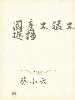 国产又猛又黄无遮挡