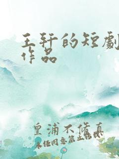 王轩的短剧全部作品