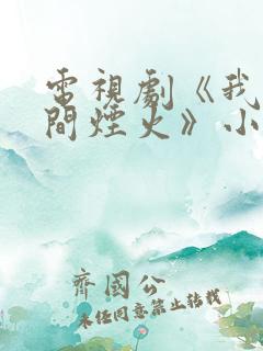 电视剧《我的人间烟火》小说