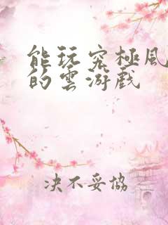 能玩究极风暴4的云游戏