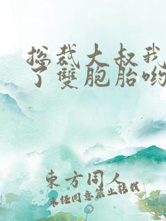 总裁大叔我怀孕了双胞胎哟小说免费阅读