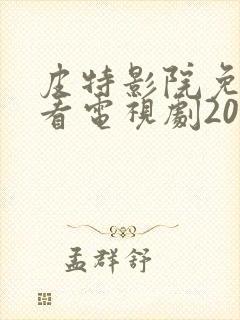 皮特影院免费观看电视剧2023