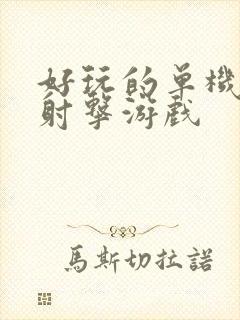 好玩的单机游戏射击游戏