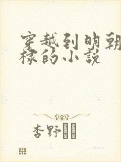 穿越到明朝成朱棣的小说