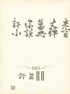 许你万丈光芒好小说无弹窗免费阅读