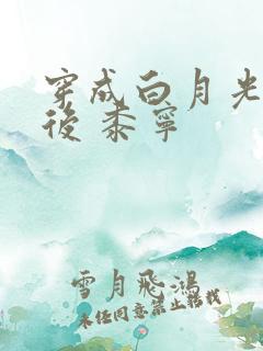 穿成白月光替身后 黍宁