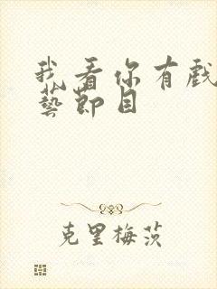 我看你有戏 综艺节目