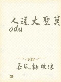 人道大圣莫默sodu