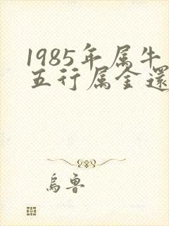 1985年属牛五行属金还是木