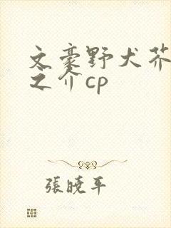 文豪野犬芥川龙之介cp